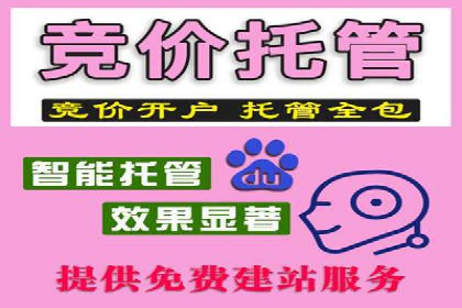 某某sem代运营推广公司：打造品牌营销新模式